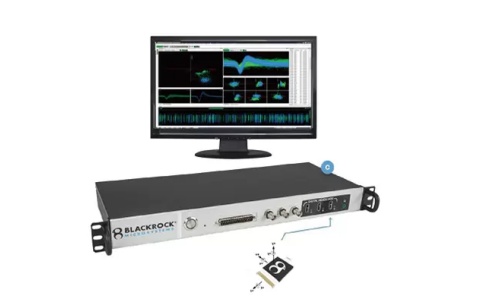 Blackrock Microsystems在体电生理研究系统