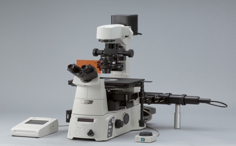 20250414_奥林巴斯显微镜_20250414_132848_8877.jpg 20250414_奥林巴斯显微镜_20250414_132848_8877.jpg