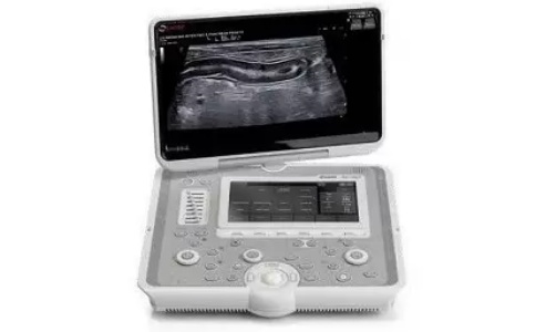 小动物超声成像系统MYLAB™ Sigma Vet