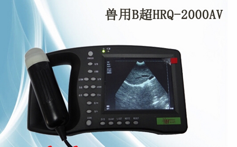 20250429_索诺星便携式B超_20250429_131545_3410.jpg 20250429_索诺星便携式B超_20250429_131545_3410.jpg