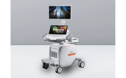 西门子超声诊断系统 ACUSON Sequoia Silver(银杉)