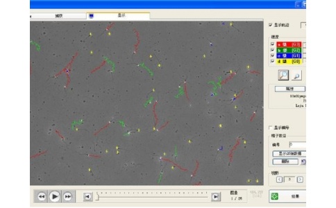 精子质量分析仪 精子质量分析仪